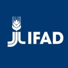 You are currently viewing ACUTE FOOD INSECURITY AND MALNUTRITION RISE FOR SIXTH CONSECUTIVE YEAR IN WORLD’S MOST FRAGILE REGIONS – NEW REPORT