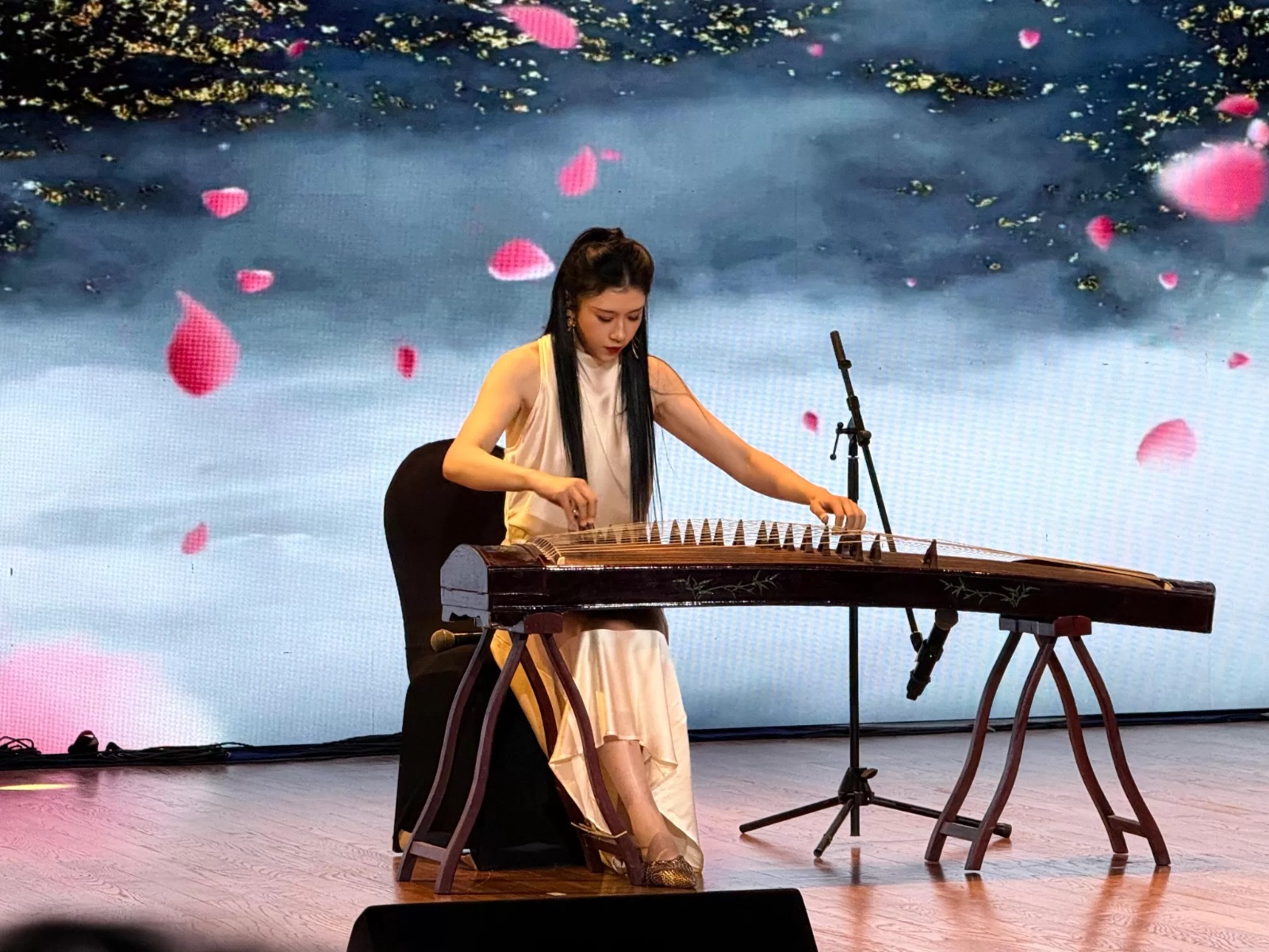You are currently viewing Egyptian, Chinese music shine at NMEC concert