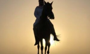 فريحة السعيد.. موطن الحلال والخيول الأصيلة