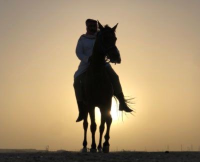 You are currently viewing فريحة السعيد.. موطن الحلال والخيول الأصيلة