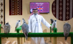 المزرعة الإنجليزية “فالكون ميوز” تُشارك بـ 100 صقر في المزاد الدولي لمزارع إنتاج الصقور 2025