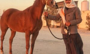 اسطبل فريحة آل سعيد: امتداد لتاريخ الخيل والحفاظ على التراث