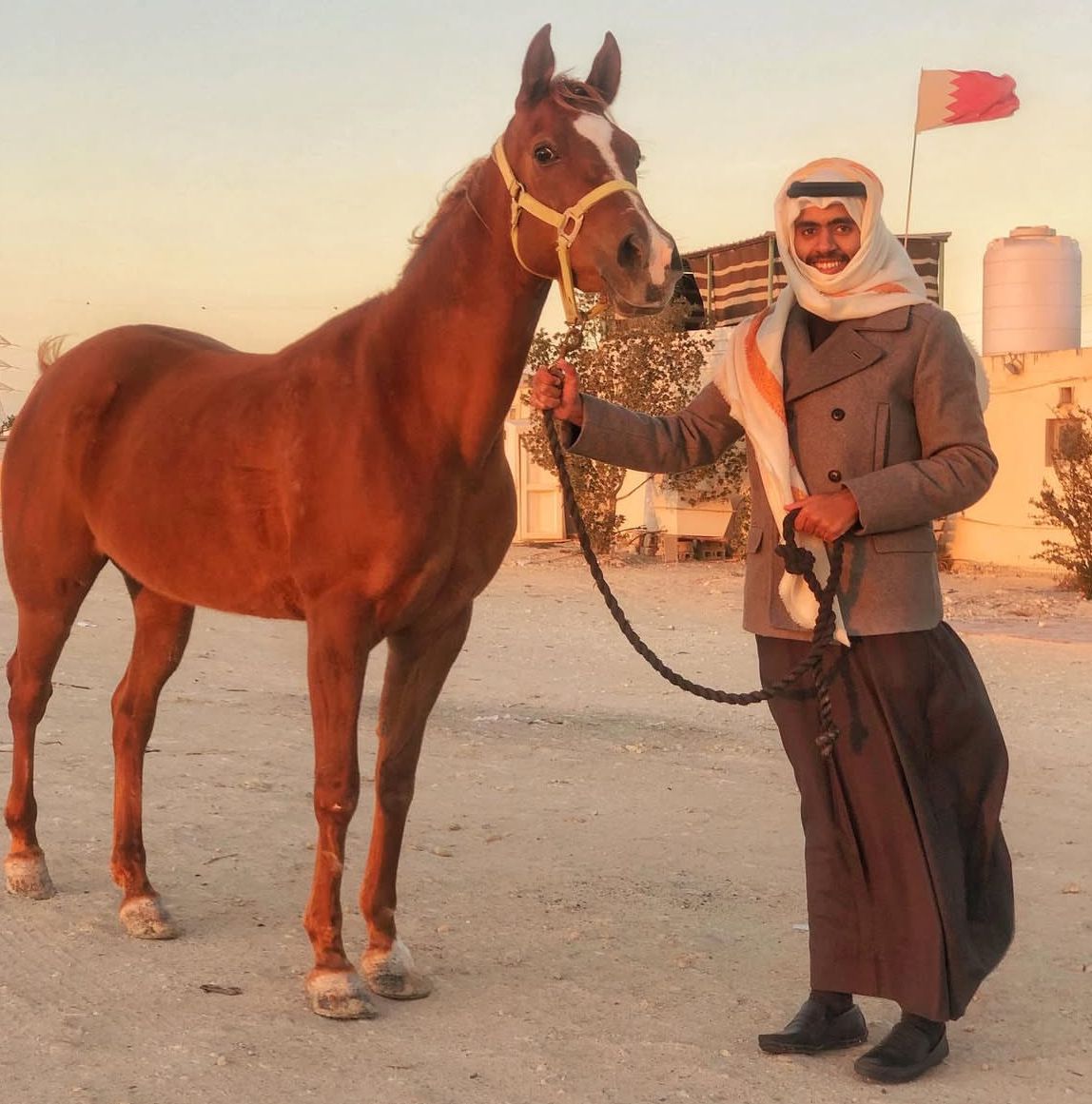 You are currently viewing اسطبل فريحة آل سعيد: امتداد لتاريخ الخيل والحفاظ على التراث