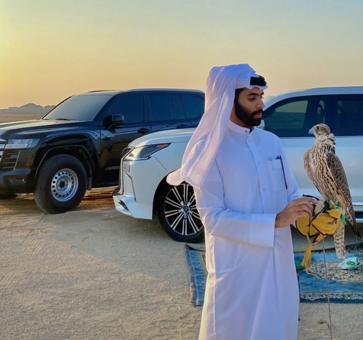 You are currently viewing تربية الصقور في فريحة السعيد: إرث متوارث وعراقة خليجية