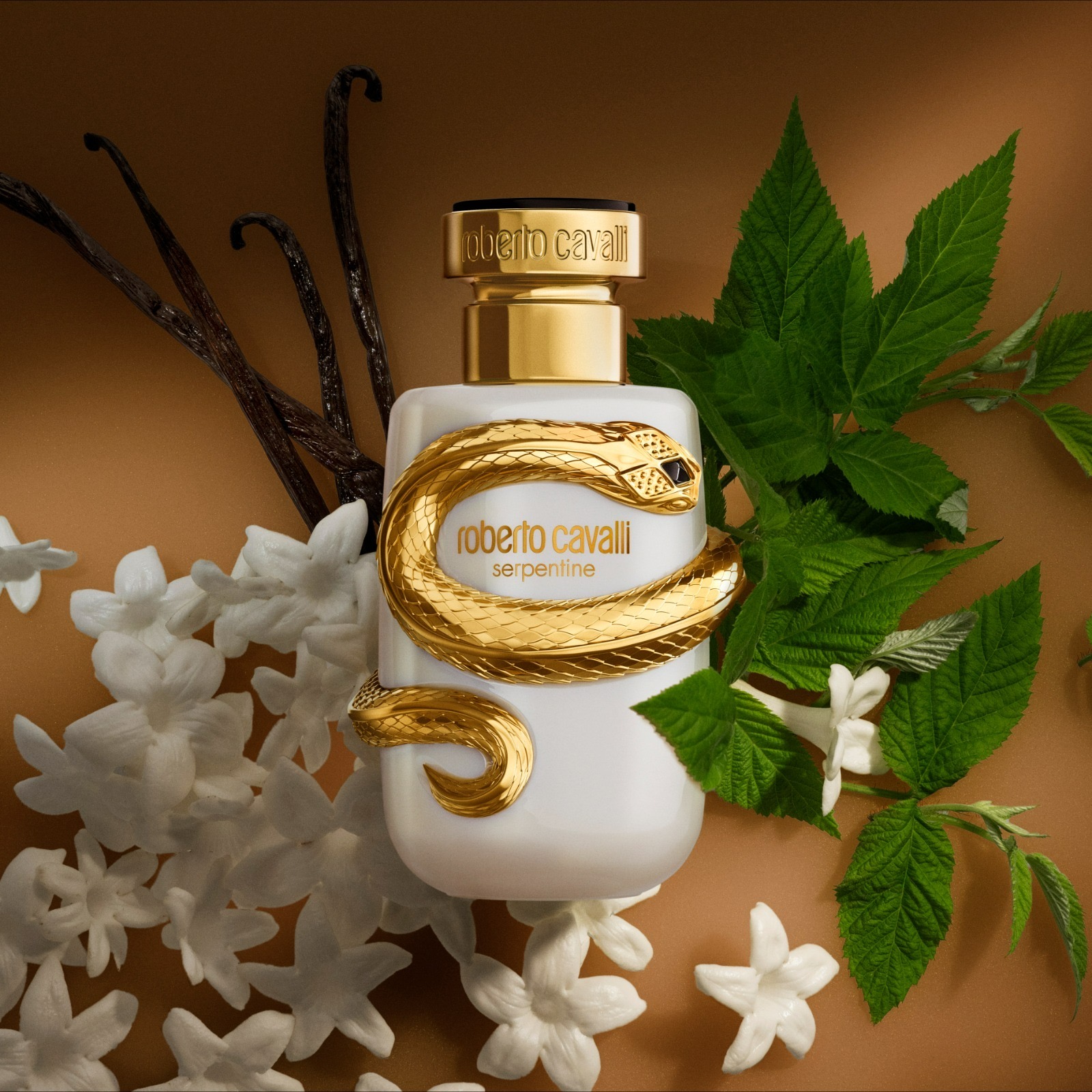 You are currently viewing روبيرتو كافالي تقدم عطر سربنتين الجديد عطر أساسي جديد ينضمّ إلى مجموعة عطور المميزة