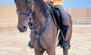 اول فريق أوروبي بقيادة سعودية يشارك في بطولة العالم بالعلا 2026