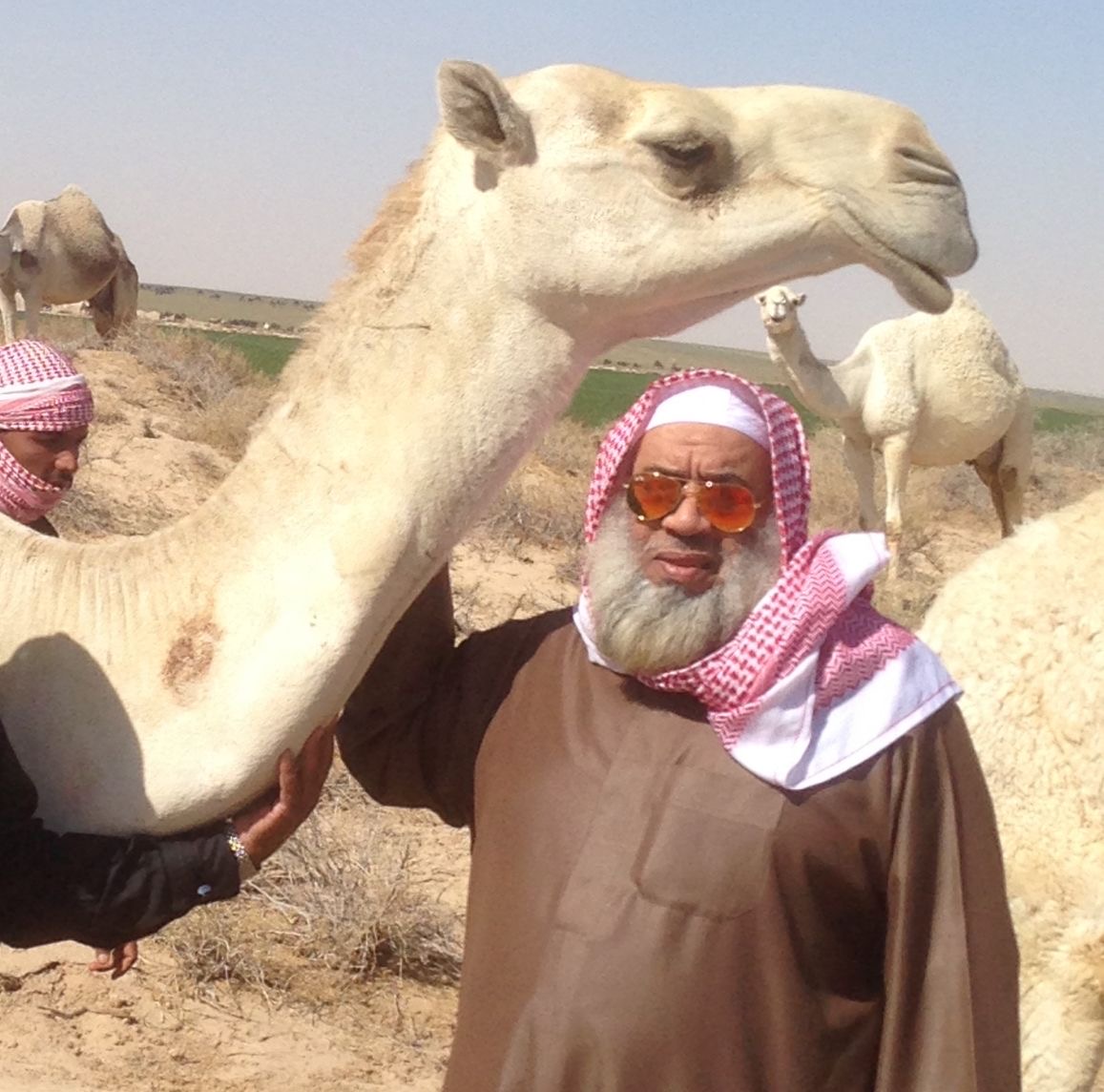 You are currently viewing مواقف وبطولات القبائل في البادية