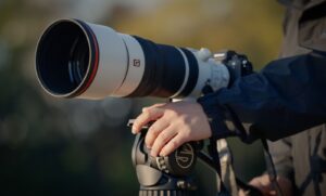 سوني تكشف عن عدسة FE 100-400mm F4.5 GM OSS G Master™️ في المملكة العربية السعودية